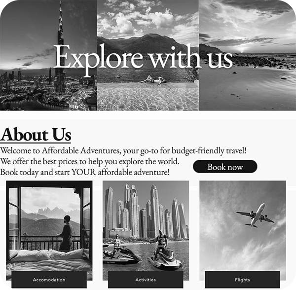 Image of a proffesionally built Travel Agency Websites